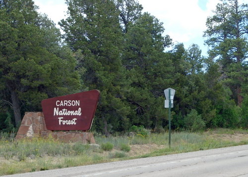 GDMBR: [Kit] Carson National Forest.